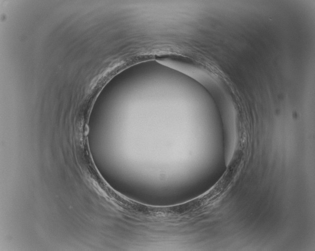 X0000053070585200508011942