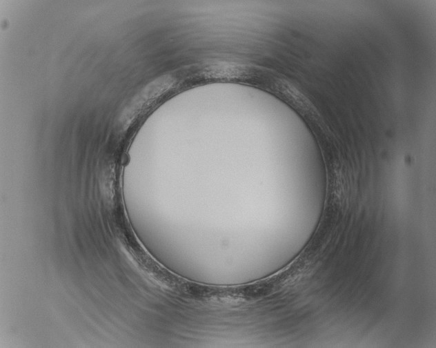 X0000053070586200508011942