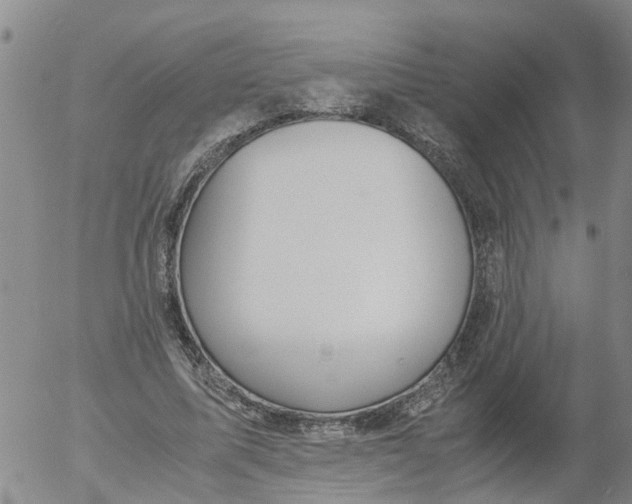 X0000053070587200508011942