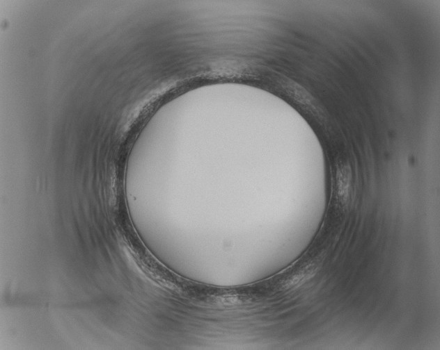 X0000053070588200508011942