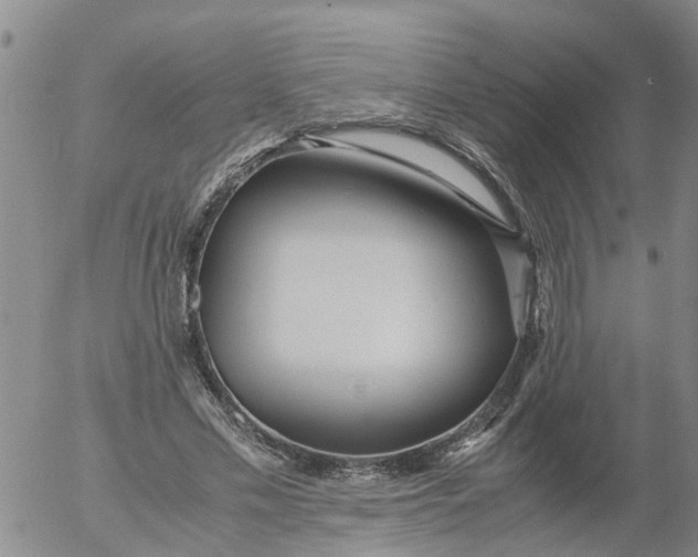 X0000053070589200508011942