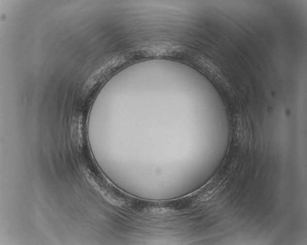 X0000053070590200508011942