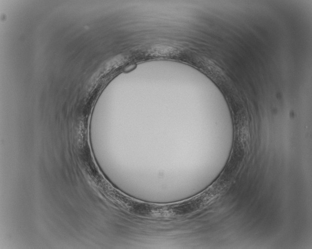 X0000053070591200508011942