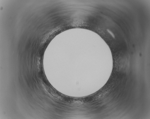 X0000053070592200508011942