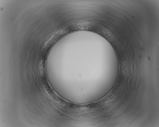 X0000053070594200508011942