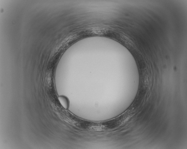 X0000053070595200508011942