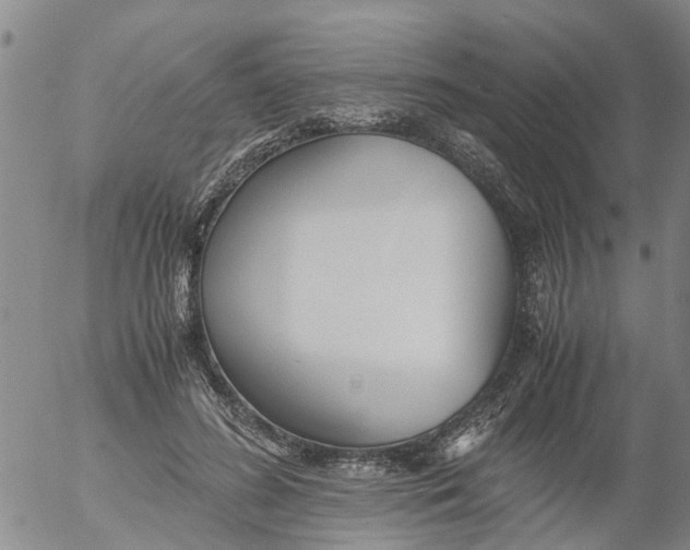 X0000053070596200508011942