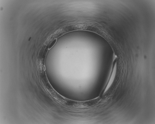 X0000053070597200508011942