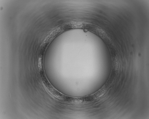 X0000053070598200508011942