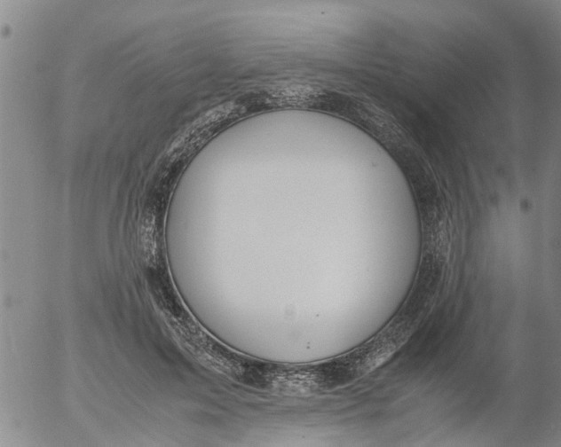 X0000053070599200508011942