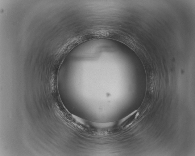 X0000053070600200508011942