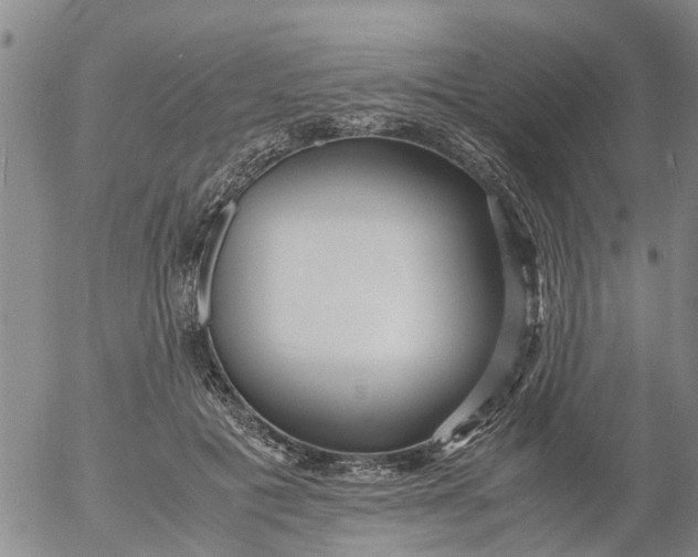 X0000053070601200508011942