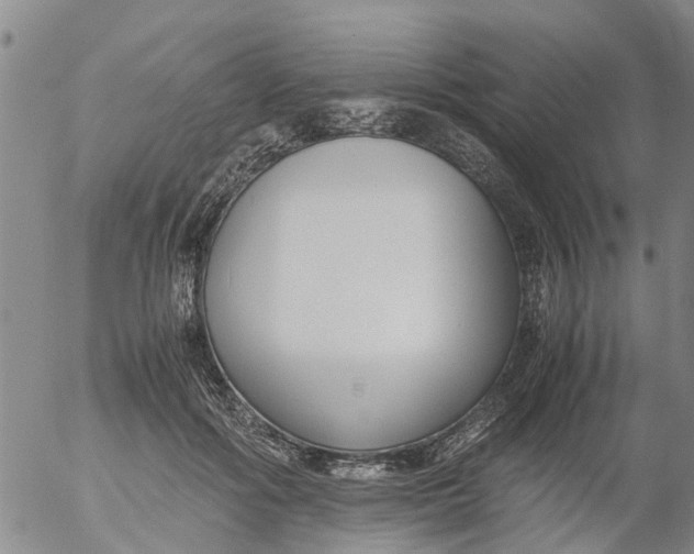 X0000053070602200508011942