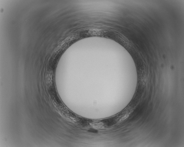 X0000053070603200508011942