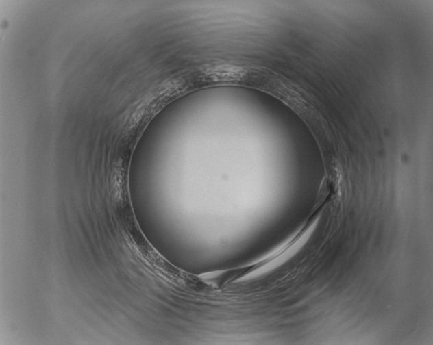 X0000053070604200508011942