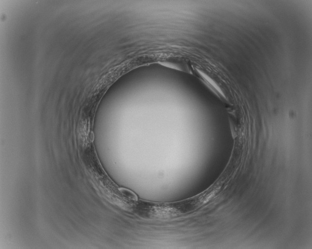 X0000053070605200508011942