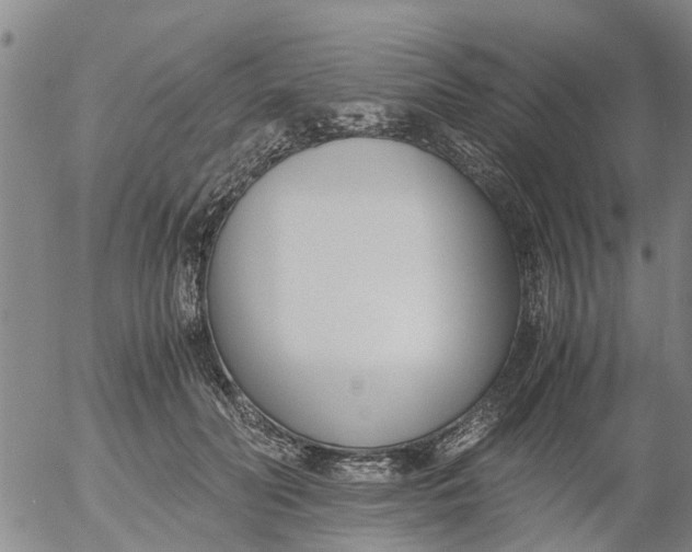 X0000053070606200508011942