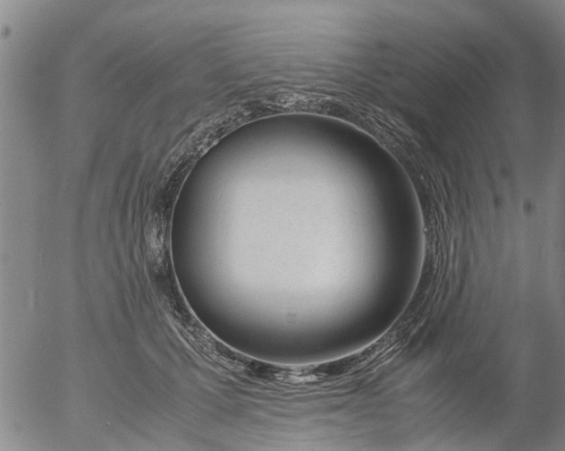 X0000053070607200508011942