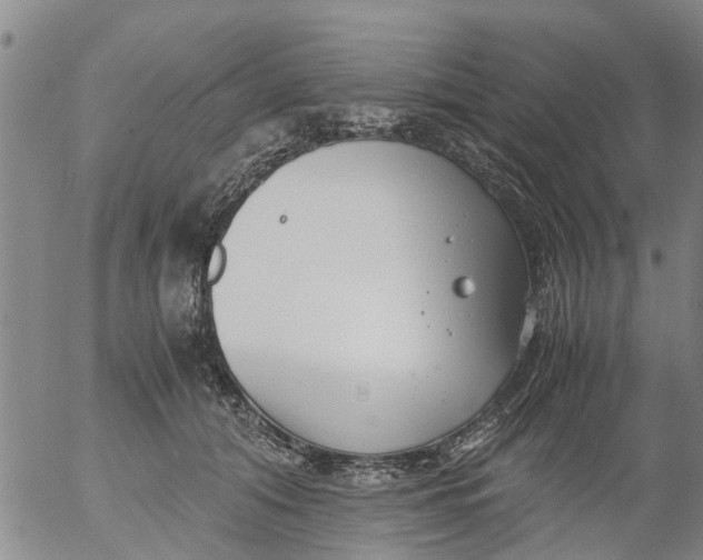 X0000053070608200508011942