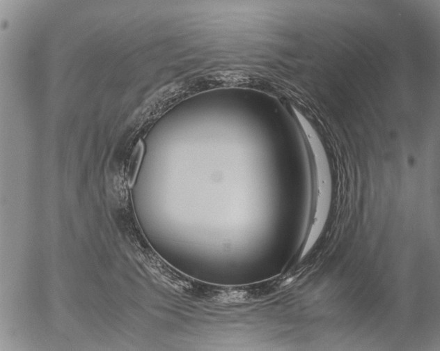 X0000053070609200508011942