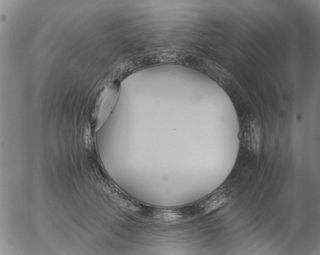 X0000053070610200508011942