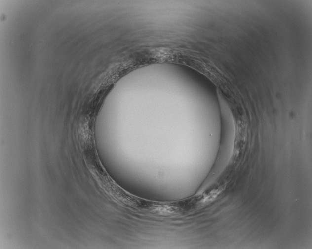 X0000053070611200508011942