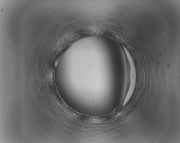 X0000053070613200508011942