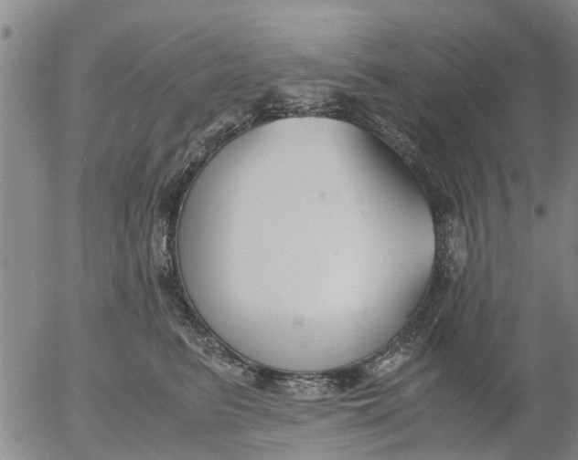 X0000053070615200508011942