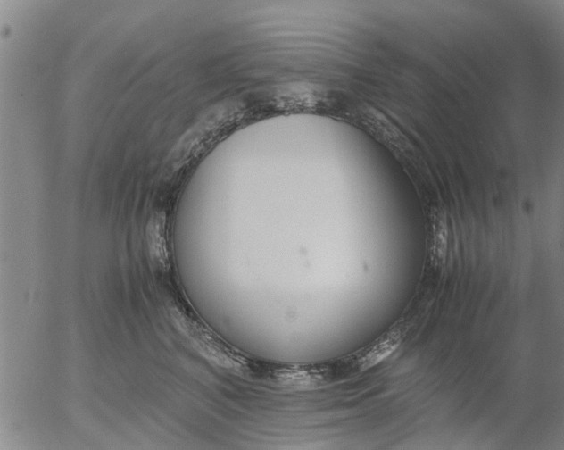 X0000053070616200508011942