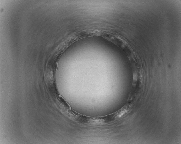 X0000053070617200508011942