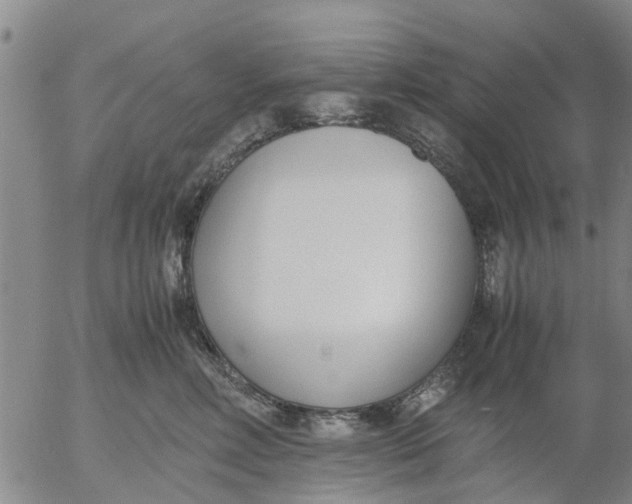 X0000053070618200508011942