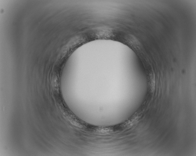 X0000053070619200508011942