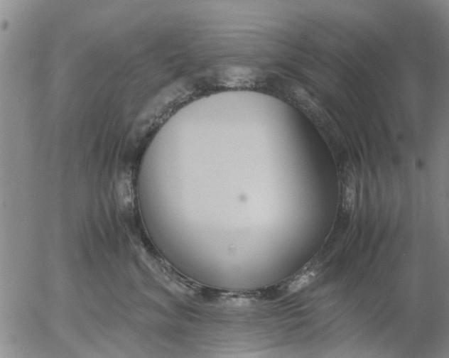 X0000053070620200508011942