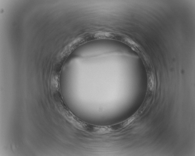 X0000053070621200508011942