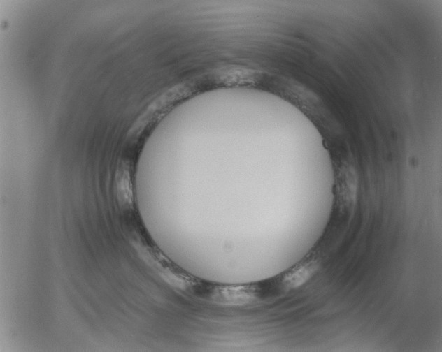 X0000053070622200508011942