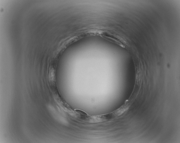 X0000053070623200508011942