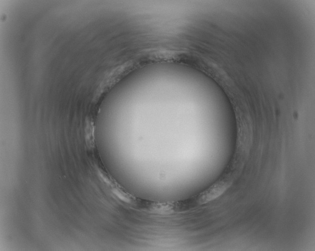 X0000053070624200508011941