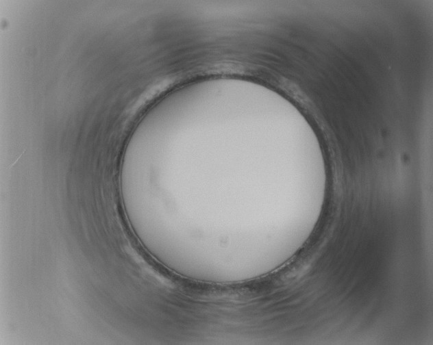 X0000053070625200508011941