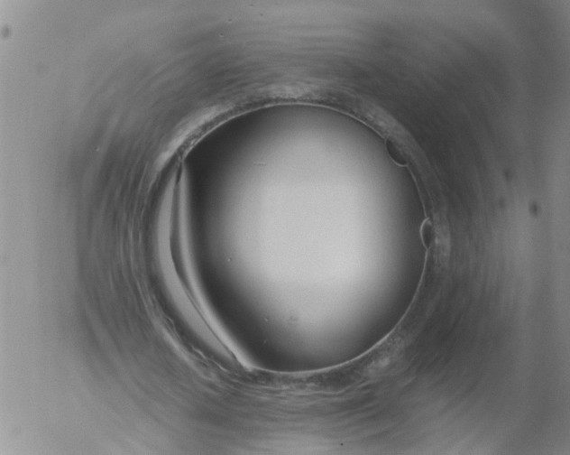 X0000053070626200508011941