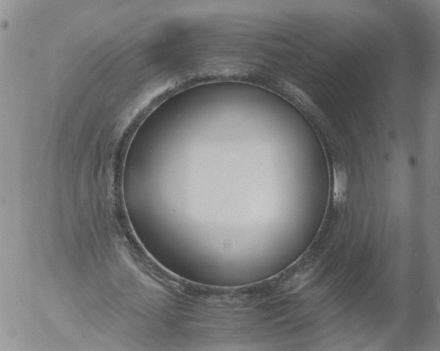 X0000053070627200508011941