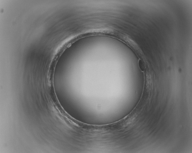 X0000053070628200508011941