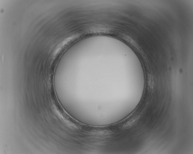 X0000053070629200508011941