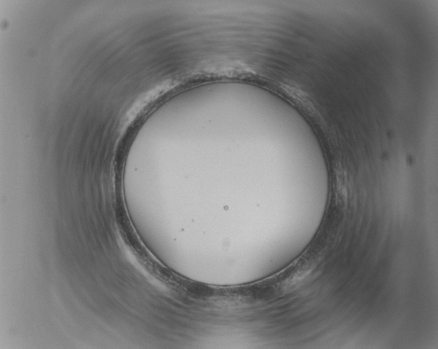 X0000053070630200508011941