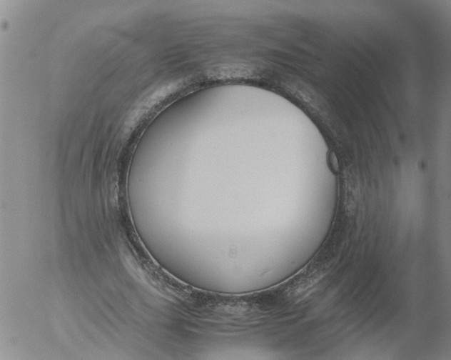 X0000053070631200508011941