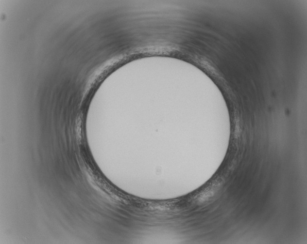 X0000053070632200508011941