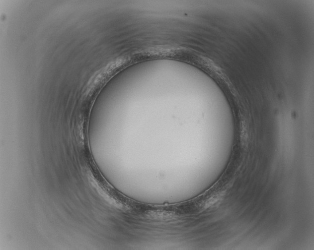 X0000053070633200508011941