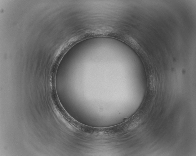 X0000053070634200508011941