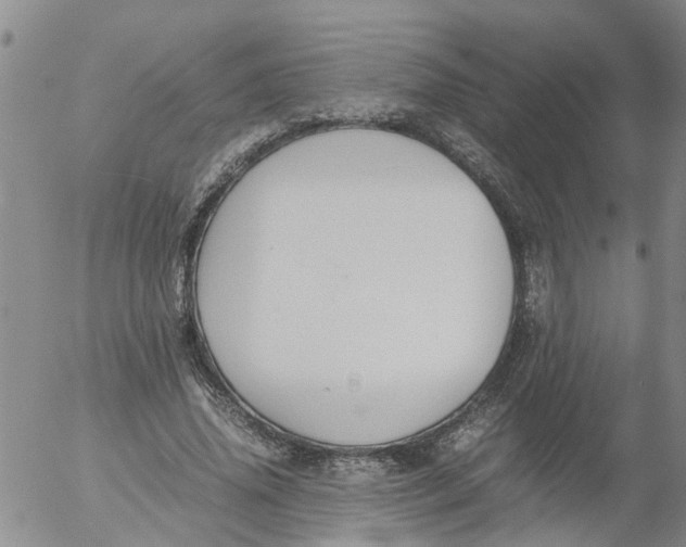 X0000053070636200508011941