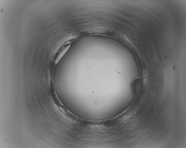 X0000053070637200508011941