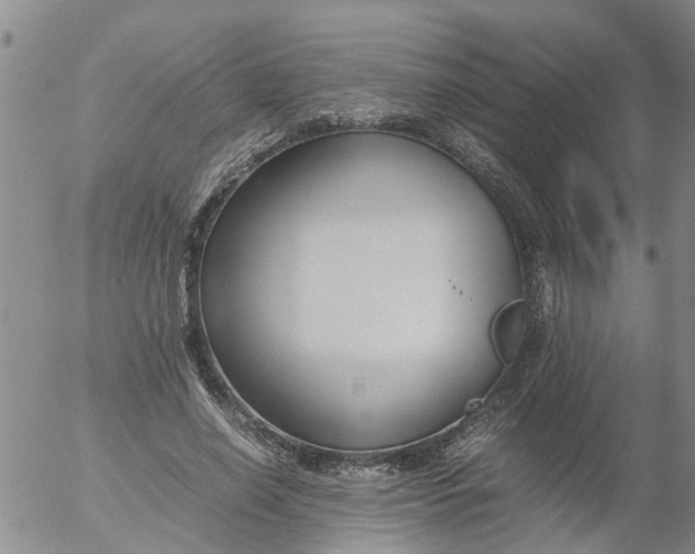 X0000053070638200508011941